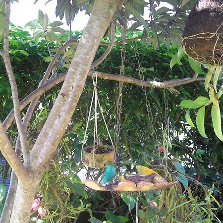 Recanto Marazul Ubatuba Εξωτερικό φωτογραφία