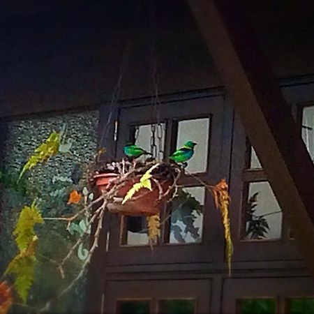 Recanto Marazul Ubatuba Εξωτερικό φωτογραφία