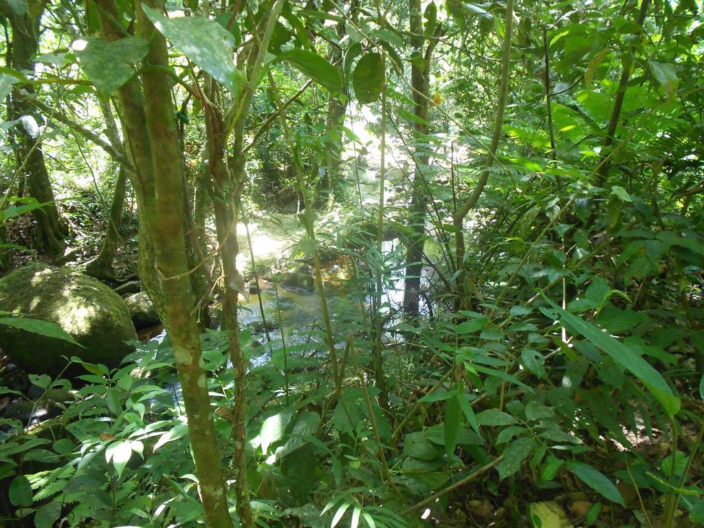 Recanto Marazul Ubatuba Εξωτερικό φωτογραφία
